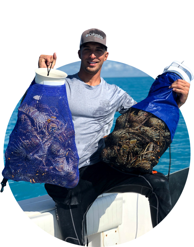 Fresh Florida Keys lobster tails ready for shipping