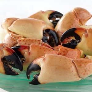 Stone Crab